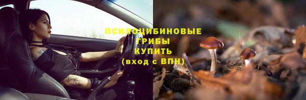 дурь Богородицк